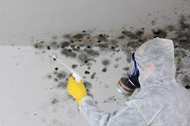 Mold Remediation for Vacation Homes in Clintonville, WI